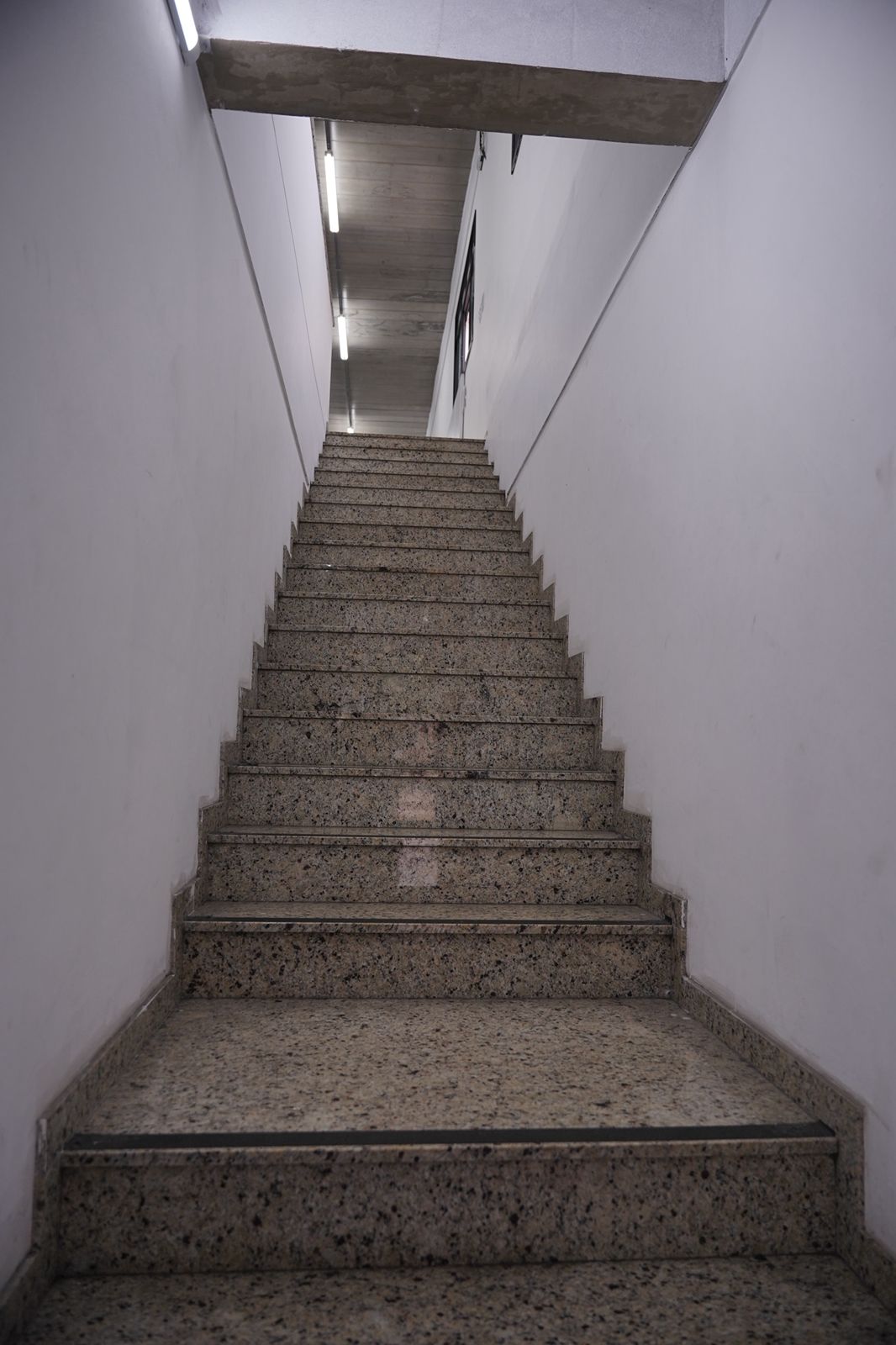 Instalações da Dream Art Interlagos